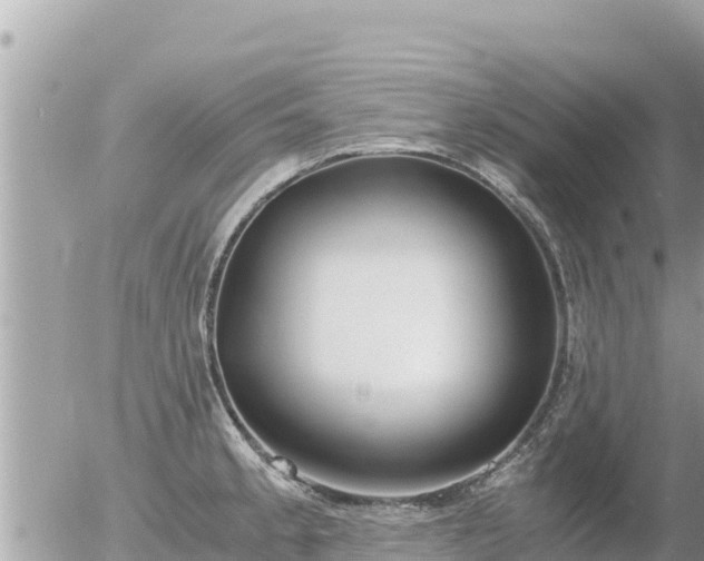 X0000056001189200508261742