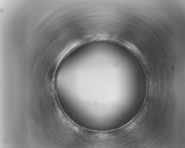 X0000056001190200508261742