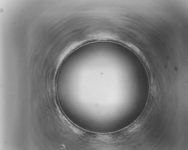 X0000056001191200508261742