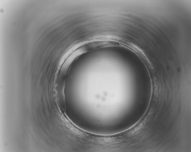 X0000056001192200508261742