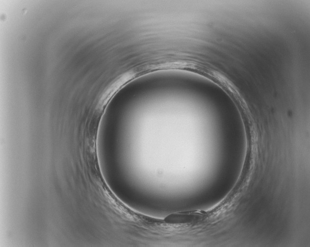 X0000056001193200508261742