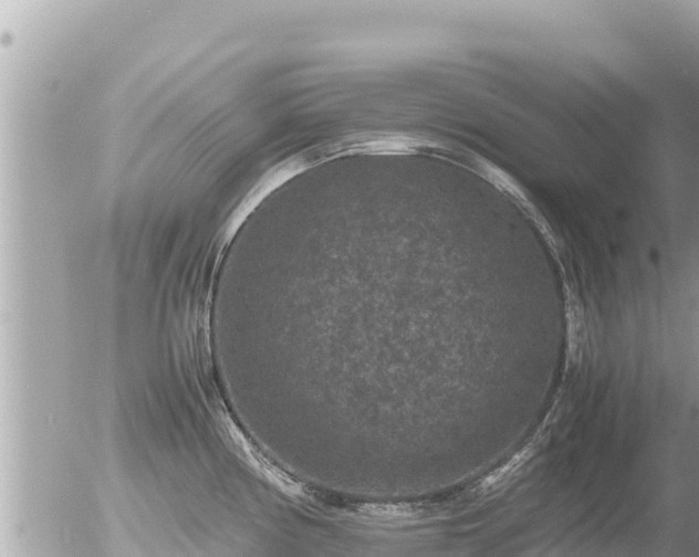 X0000056001194200508261742