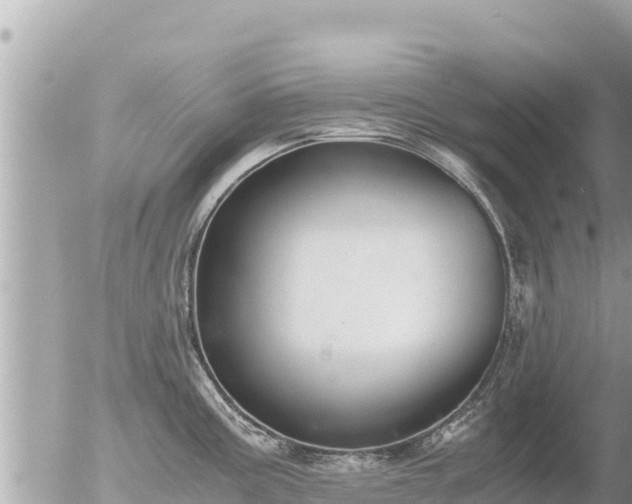 X0000056001195200508261742