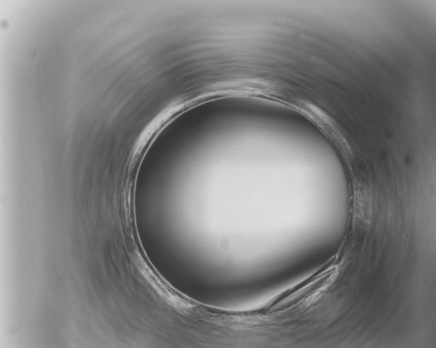 X0000056001196200508261742