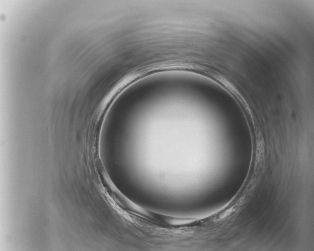 X0000056001197200508261742