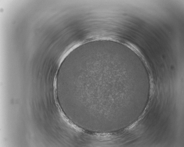 X0000056001198200508261742