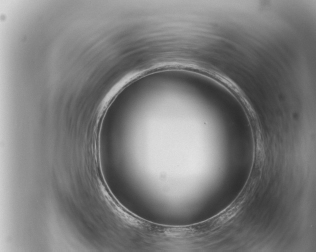 X0000056001199200508261742