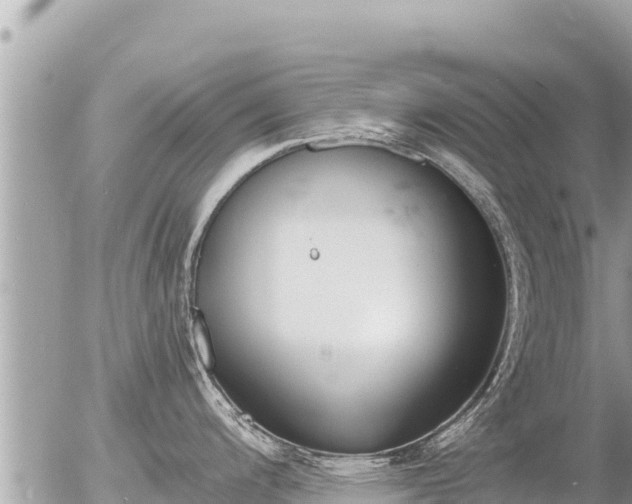 X0000056001200200508261742