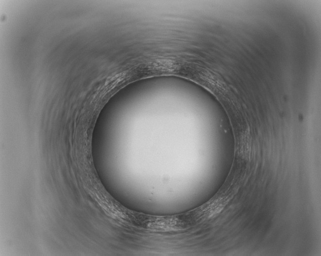 X0000056001201200508261741