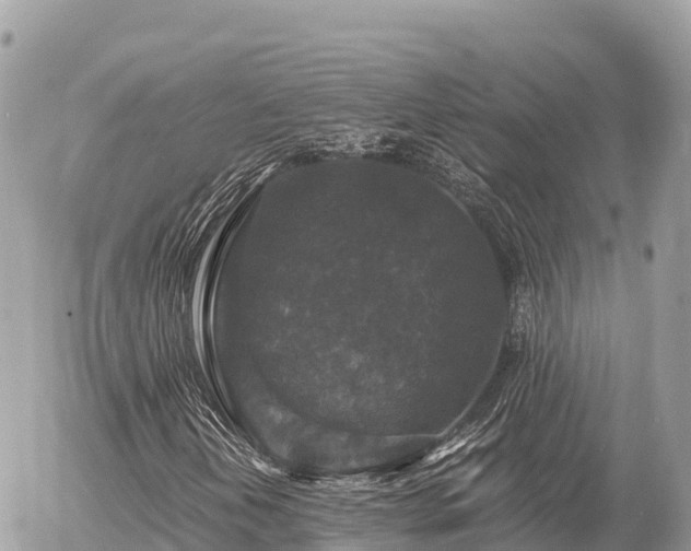 X0000056001202200508261741