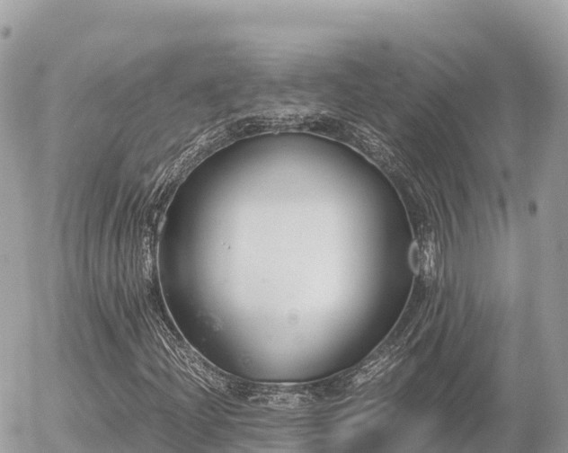 X0000056001204200508261741