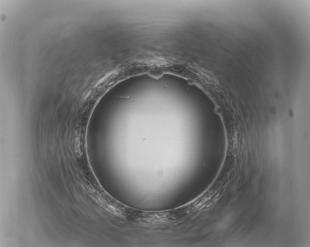 X0000056001205200508261741