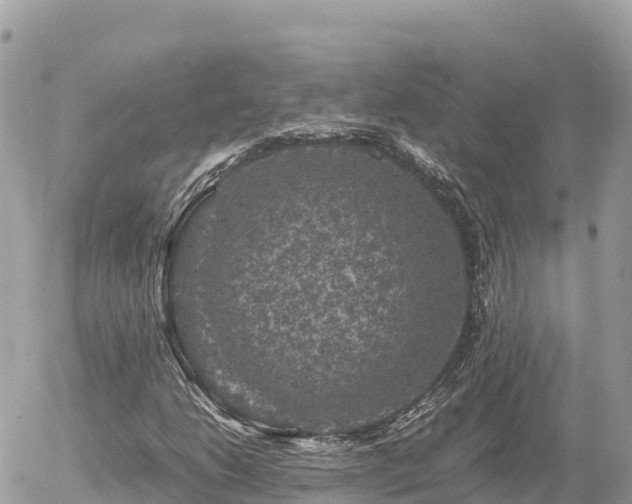 X0000056001206200508261741