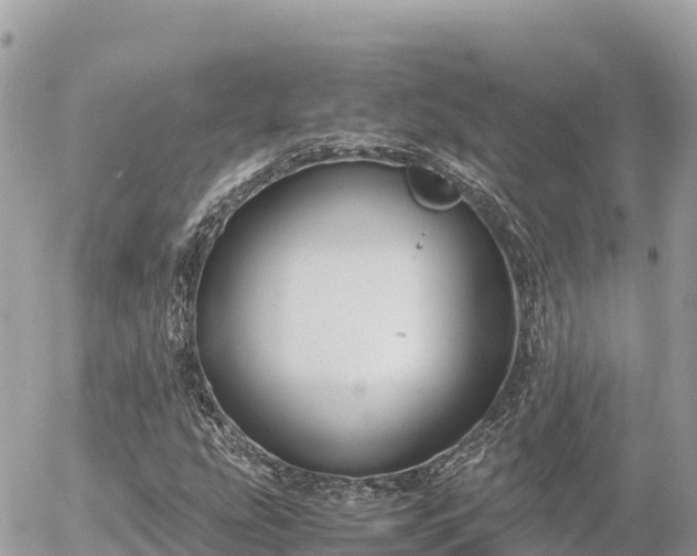 X0000056001207200508261741