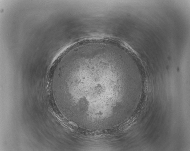 X0000056001208200508261741