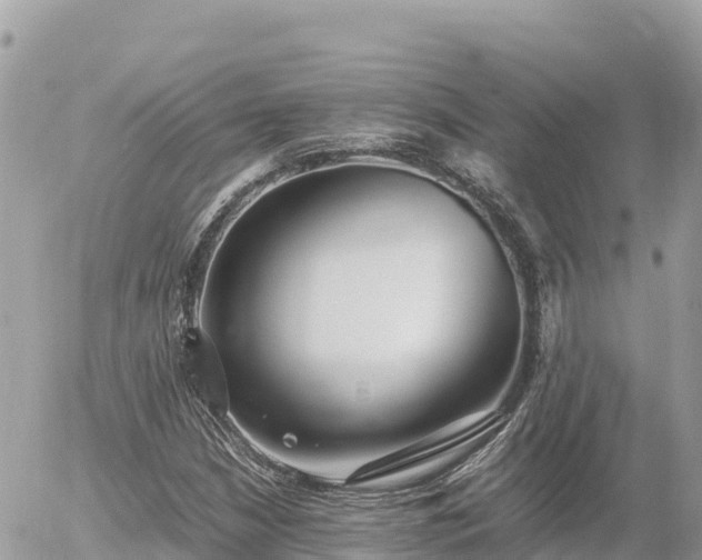 X0000056001210200508261741