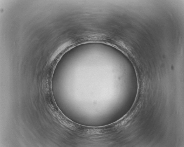 X0000056001211200508261741