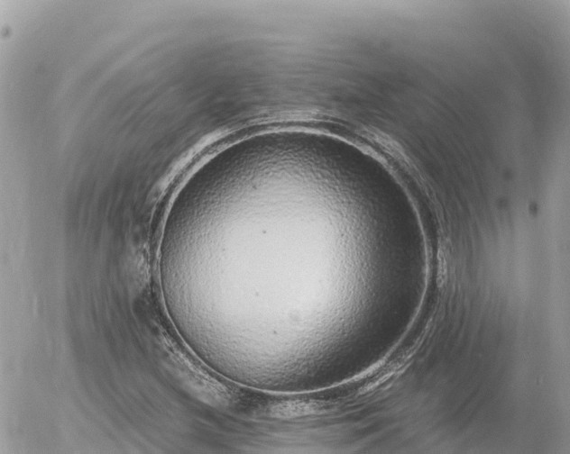 X0000056001212200508261741