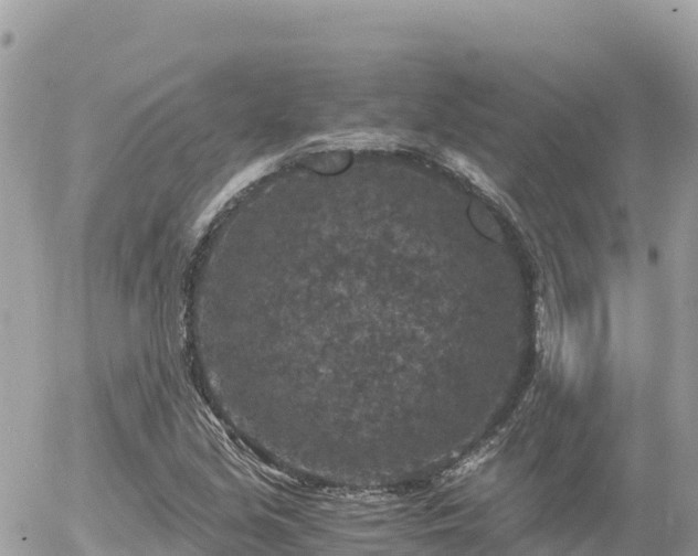 X0000056001213200508261741