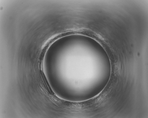 X0000056001214200508261741