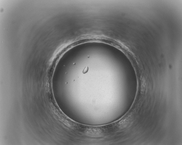 X0000056001215200508261741