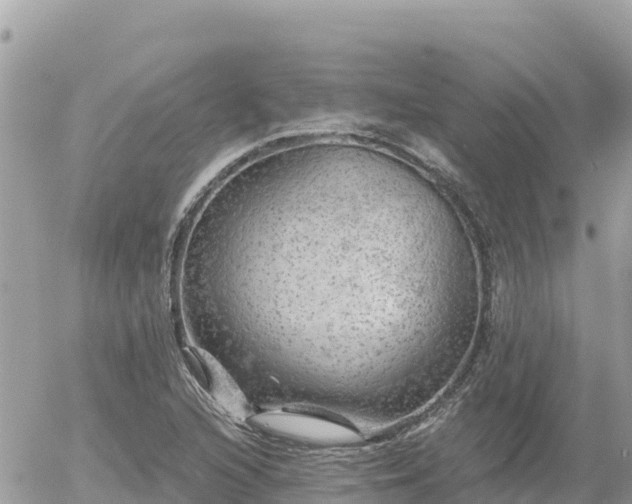 X0000056001216200508261741