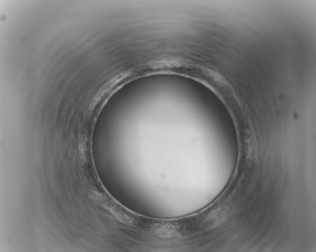 X0000056001217200508261741