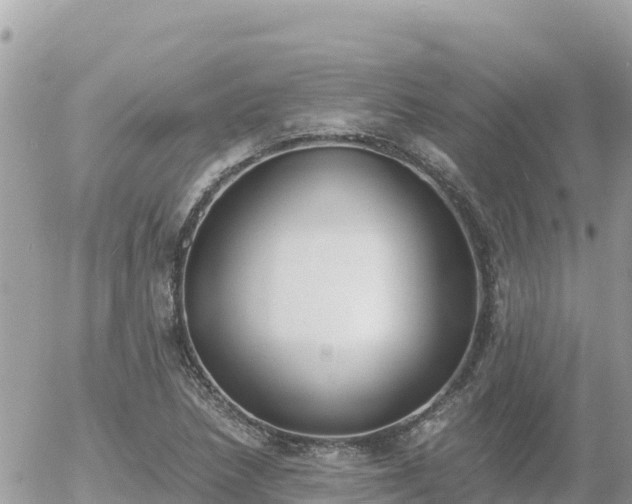 X0000056001218200508261741