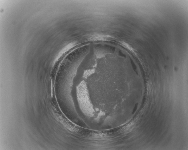 X0000056001219200508261741