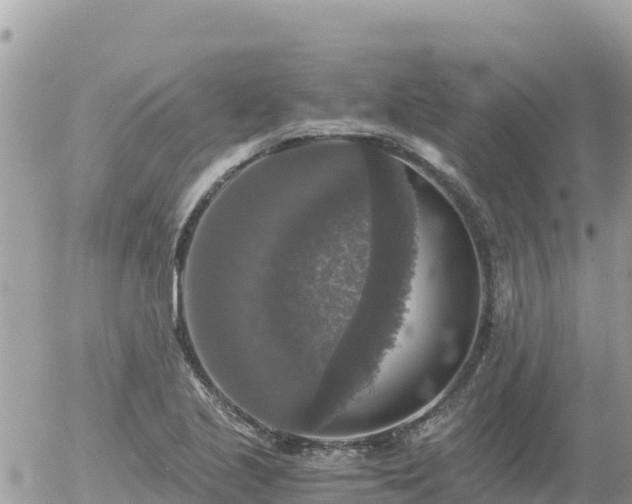 X0000056001221200508261741