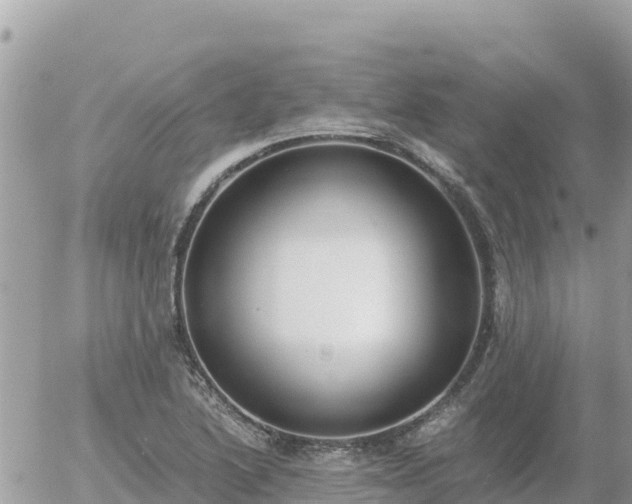 X0000056001222200508261741