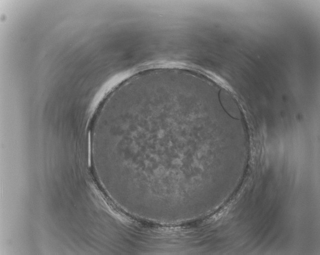 X0000056001223200508261741