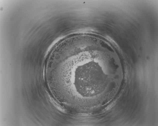 X0000056001224200508261741