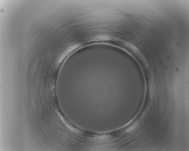 X0000056001225200508261741