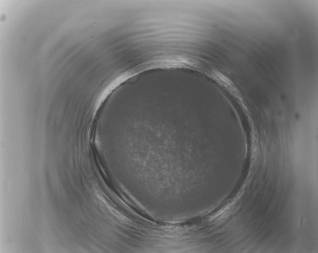 X0000056001226200508261741