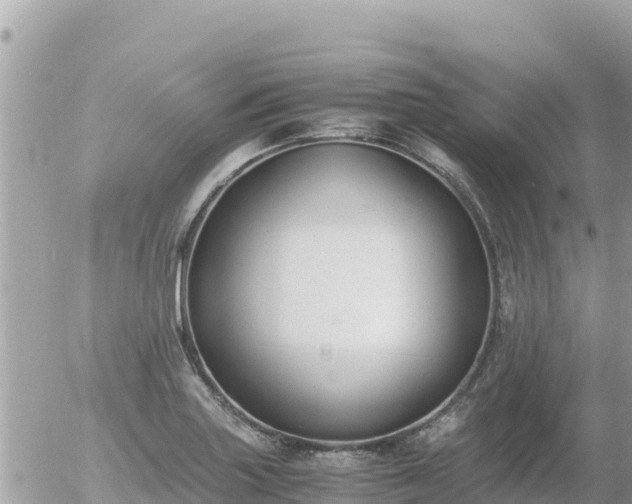 X0000056001227200508261741