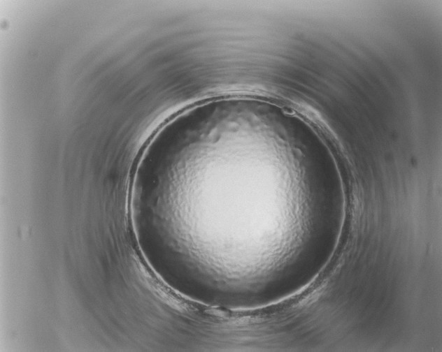 X0000056001228200508261741