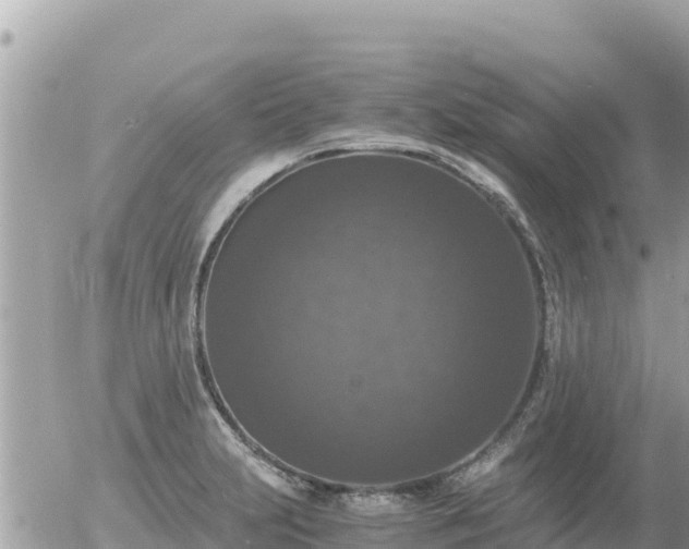 X0000056001231200508261741