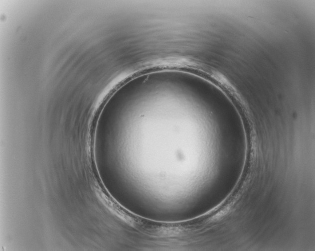 X0000056001232200508261741