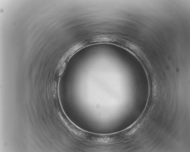 X0000056001233200508261741