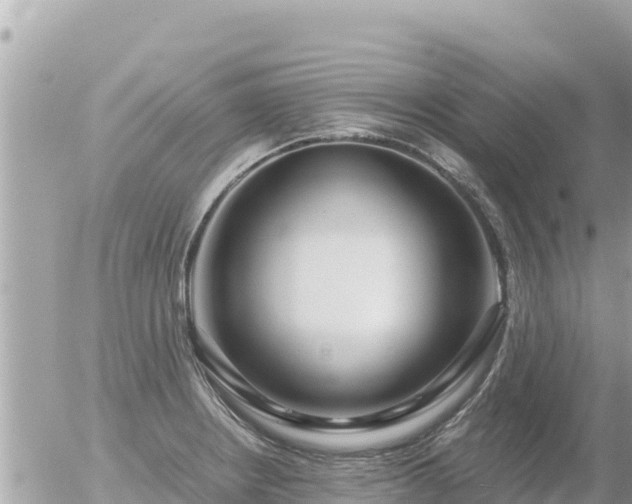 X0000056001234200508261741