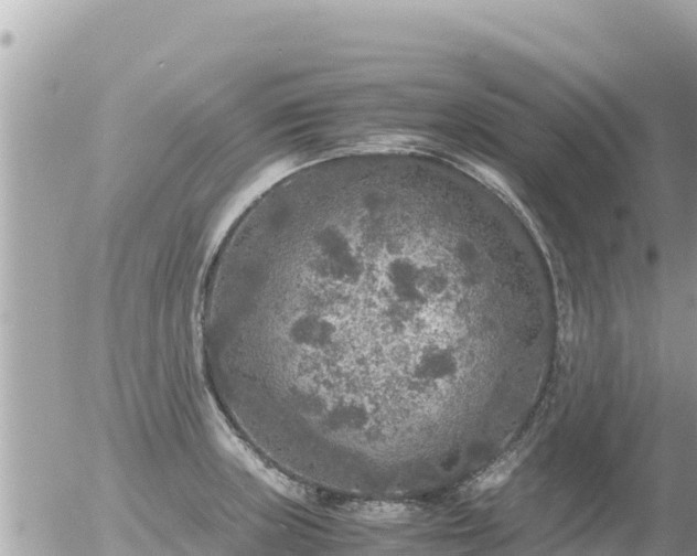 X0000056001235200508261741