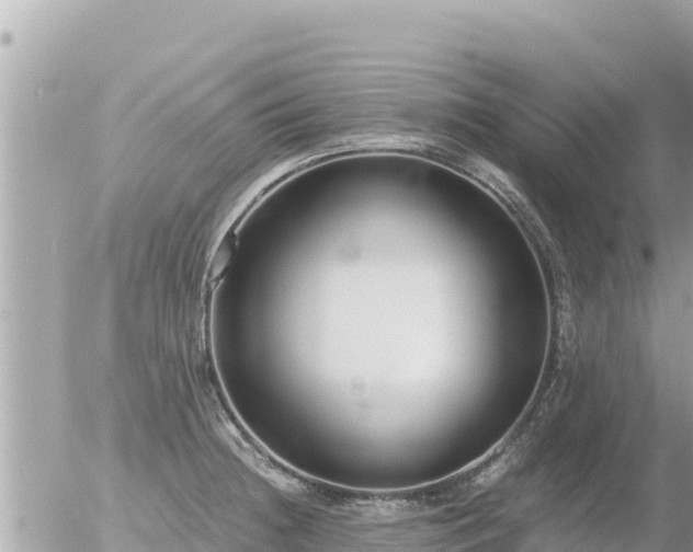 X0000056001236200508261741