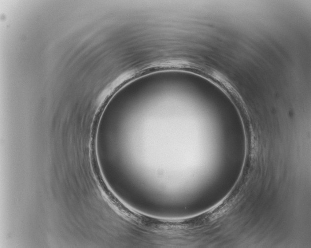 X0000056001237200508261741