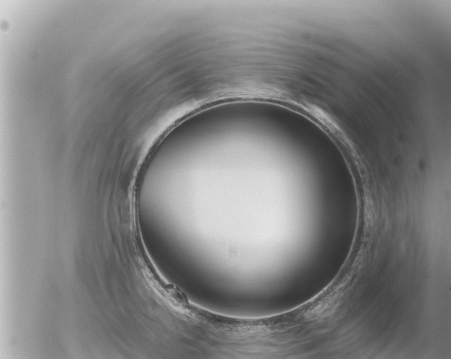 X0000056001238200508261741