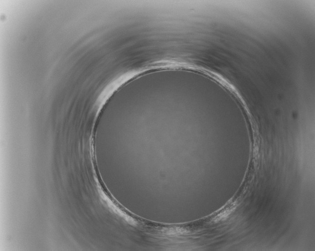 X0000056001239200508261741