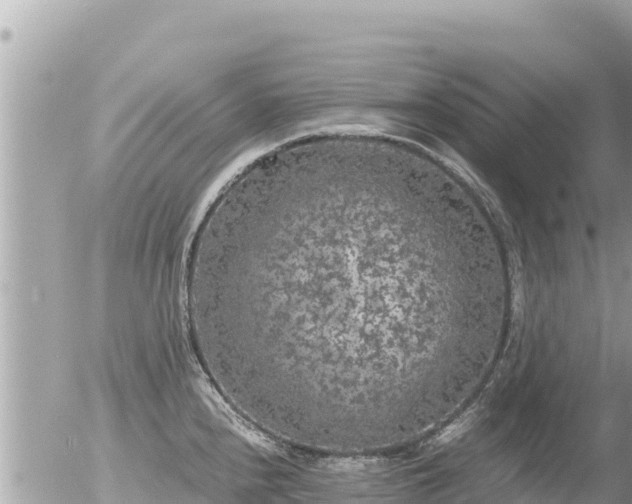 X0000056001240200508261741