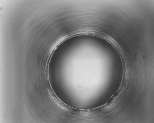 X0000056001242200508261742