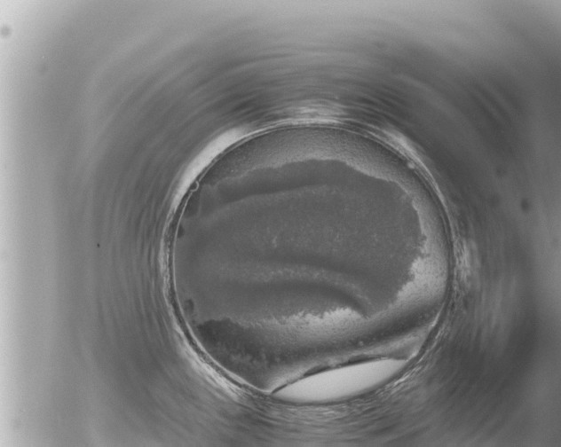 X0000056001243200508261742