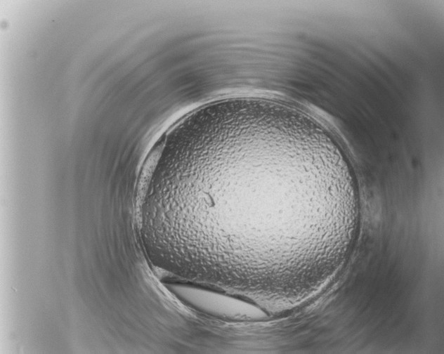 X0000056001244200508261742